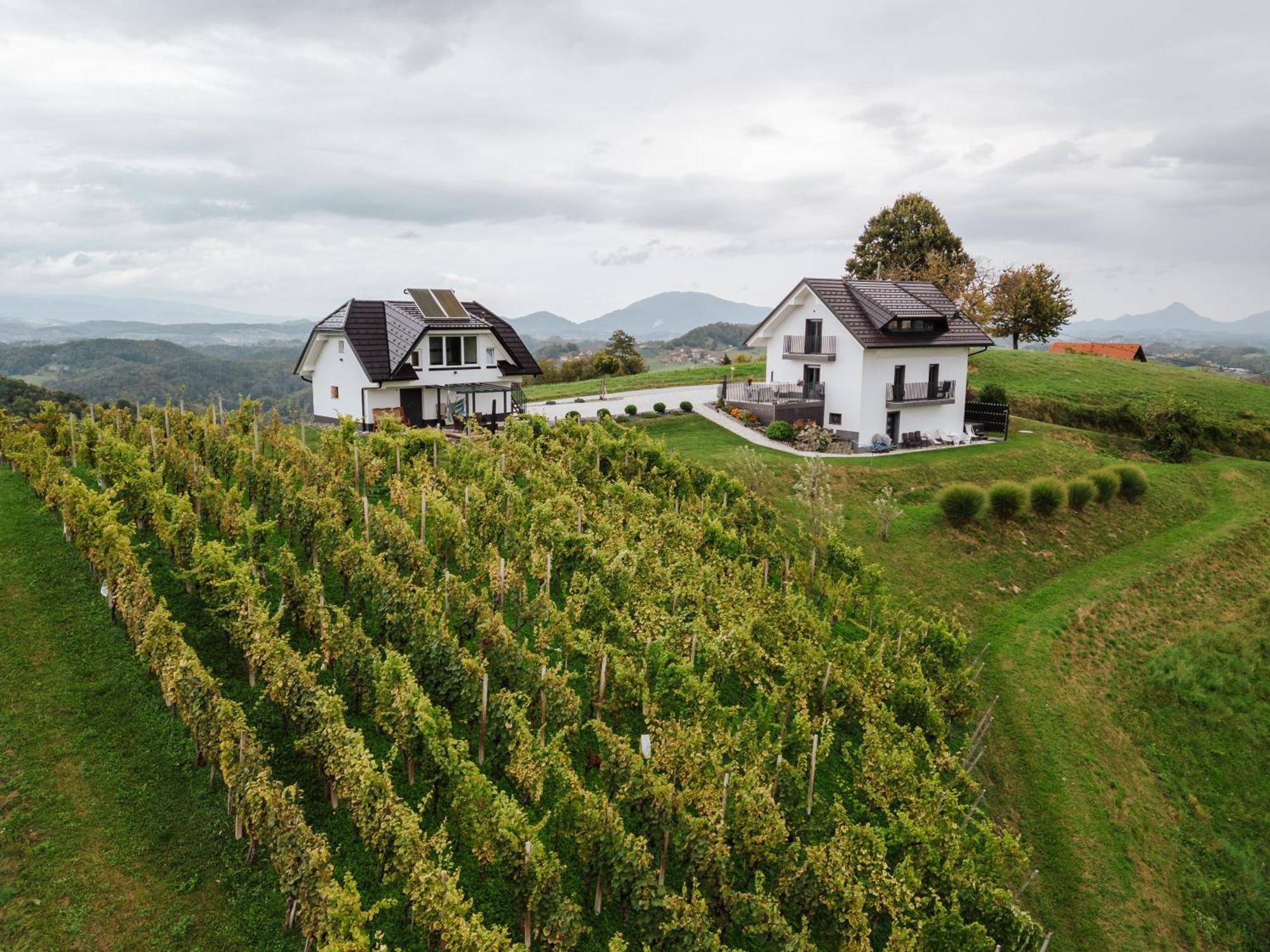 Tanja S Holiday Home In Nature With Sauna And Hot Tub Gorica pri Slivnici エクステリア 写真
